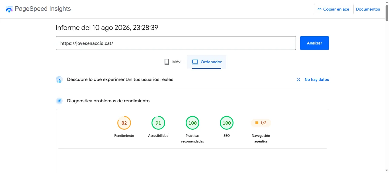 Resultados de PageSpeed de Joves en Acció
